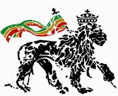 20101212065039-leon-20rasta.jpg